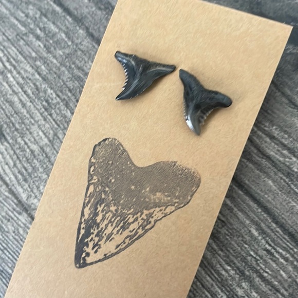 Jewelry - Shark Tooth Stud Earrings